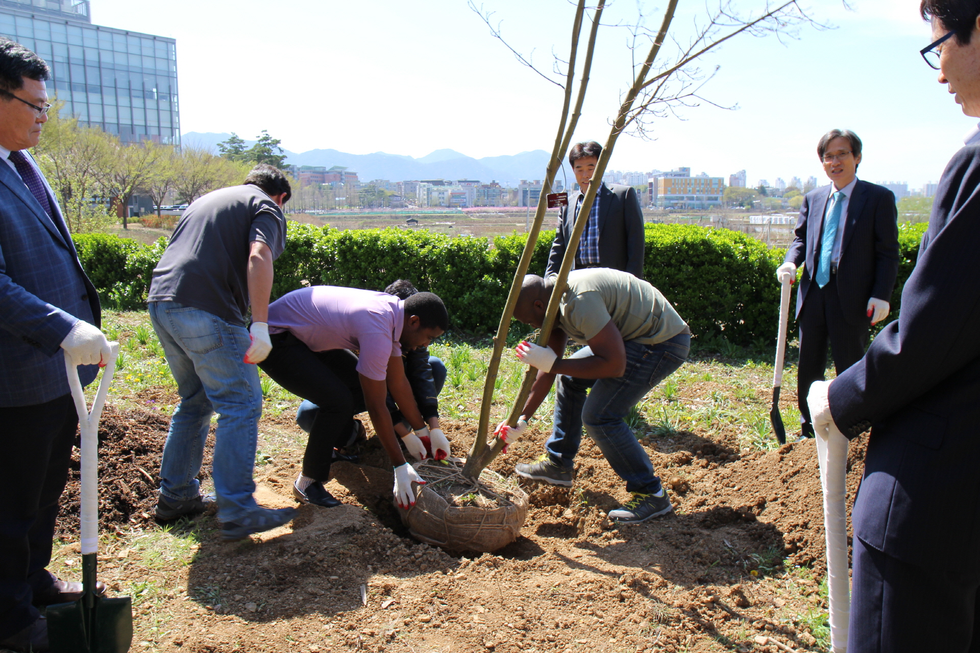 Tree-planting day